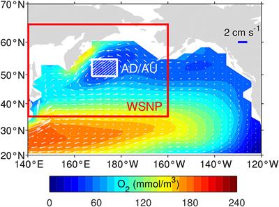 Could Artificial Downwelling/Upwelling Mitigate Oceanic Deoxygenation in Western Subarctic North Pacific?